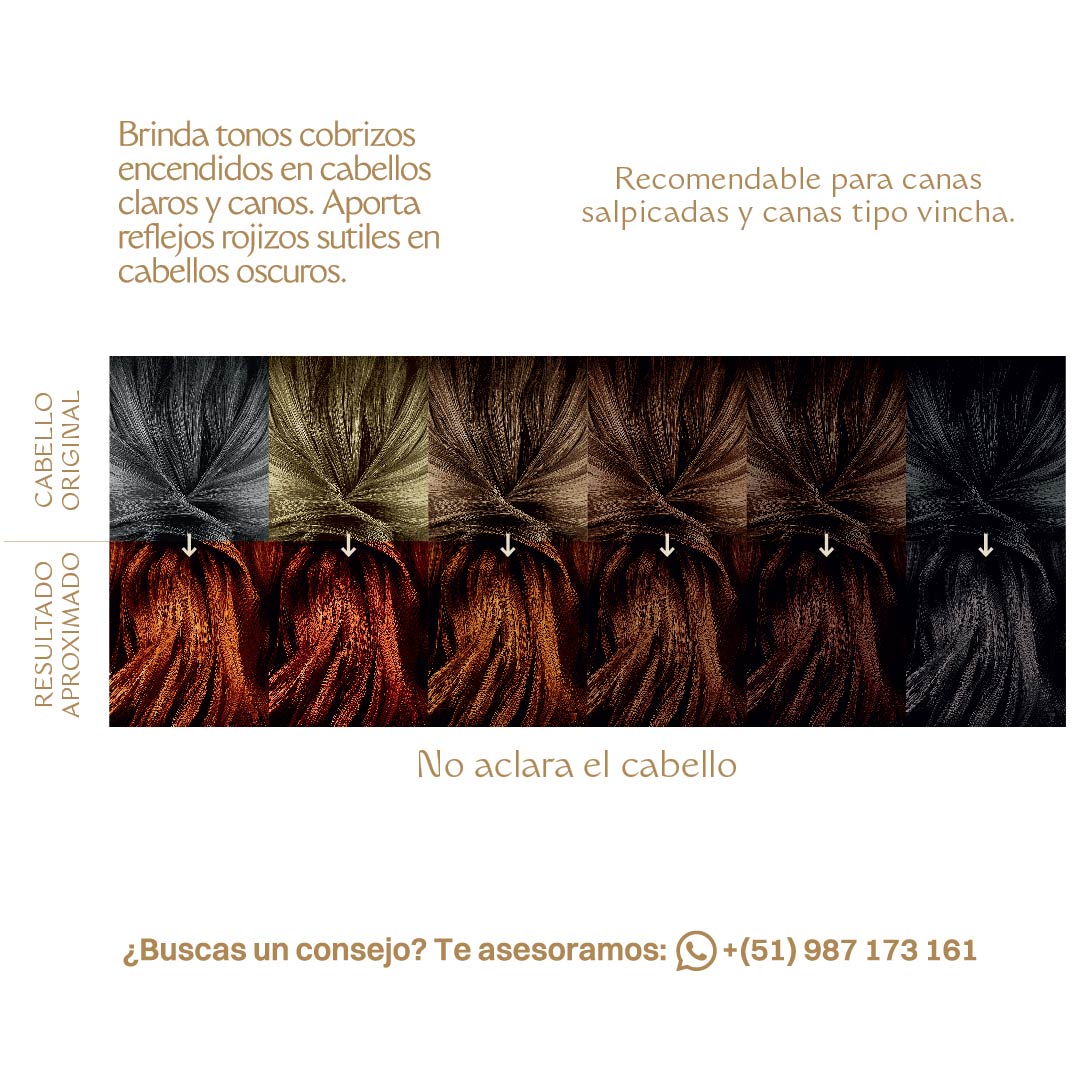 ambar_shopi-01.jpg